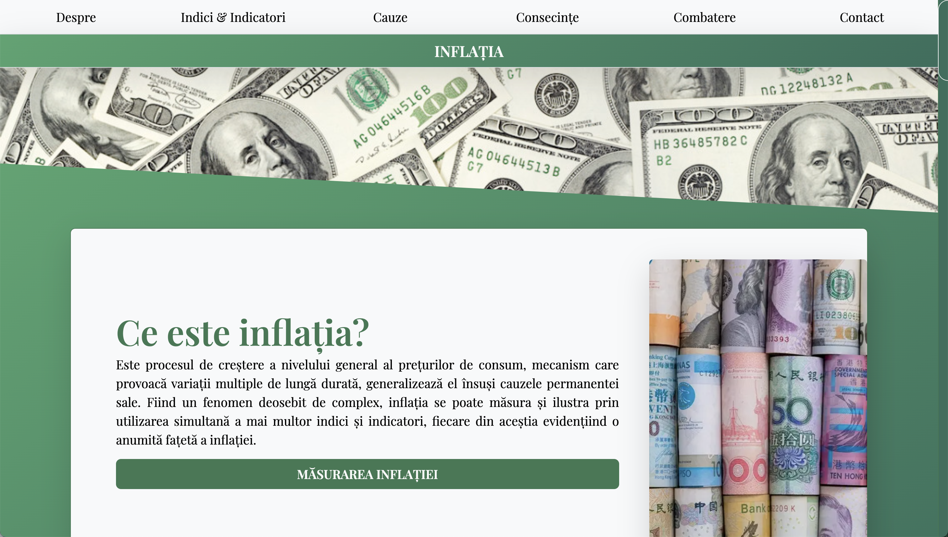 Proiect - Inflația